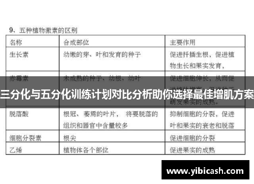 三分化与五分化训练计划对比分析助你选择最佳增肌方案