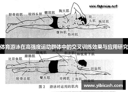 体育游泳在高强度运动群体中的交叉训练效果与应用研究